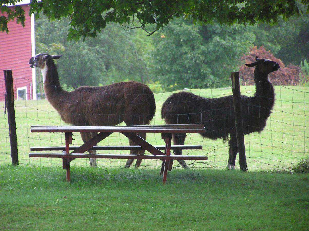 Maple Hill Farm Inn Augusta Zewnętrze zdjęcie